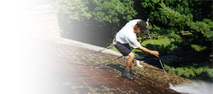 Cedar Roof Cleaning